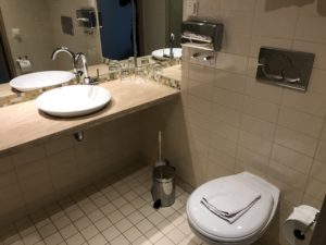 a bathroom with a toilet and sink