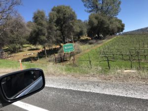 a road with a sign and a field of vines