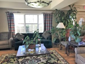 a living room with a couch and plants