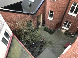 a courtyard with a tree and a brick building