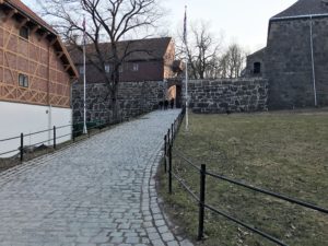 a stone path with grass and a fence