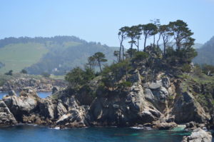 a rocky island with trees on it