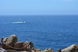 a rocky shore with a body of water