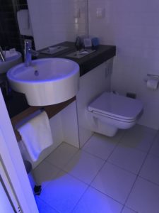 a bathroom with a sink and toilet