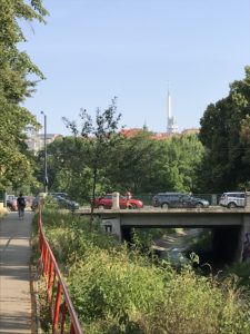 a bridge with cars and trees