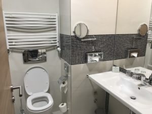 a bathroom with a sink and toilet