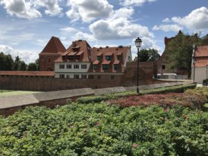 a garden and a building