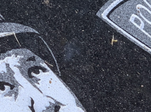 a close up of a black and white picture