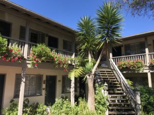 a building with stairs and plants
