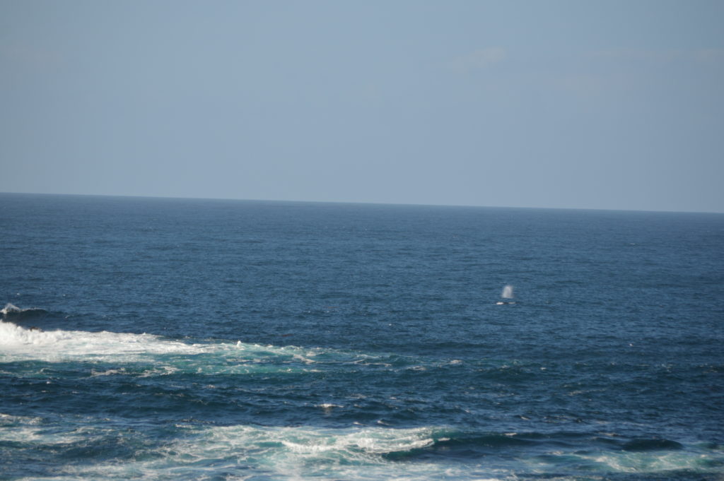 a body of water with a boat in the water