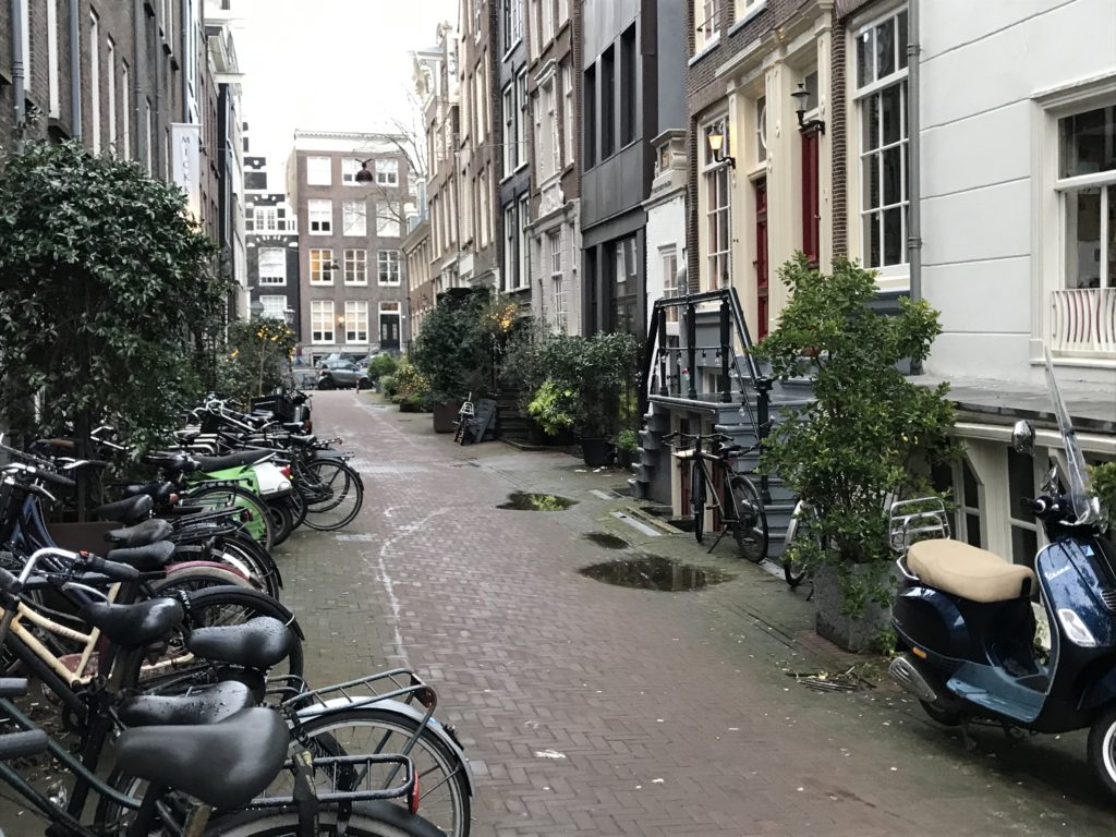 a row of bicycles parked on a brick path