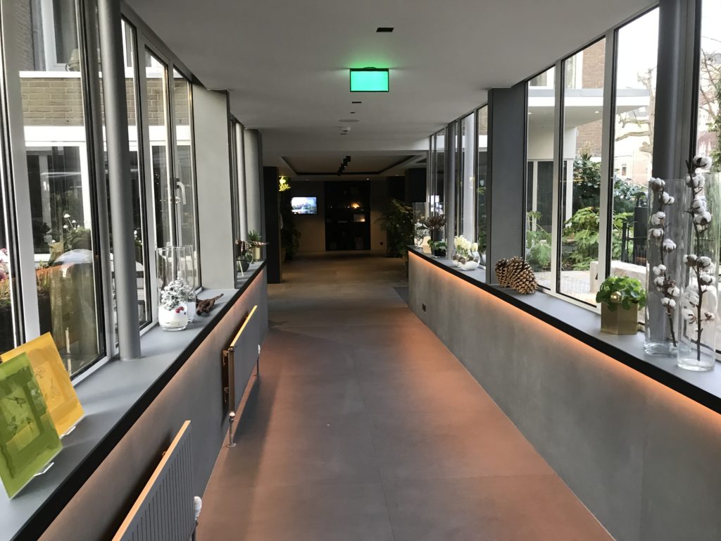 a hallway with windows and plants