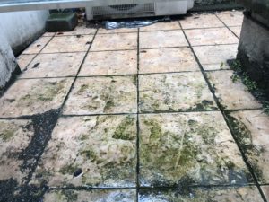 a dirty tile floor with green moss