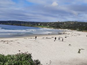 a beach with people walking on it