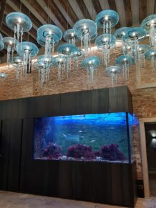 a fish tank with a blue light from the ceiling
