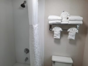 a bathroom with a shower and toilet