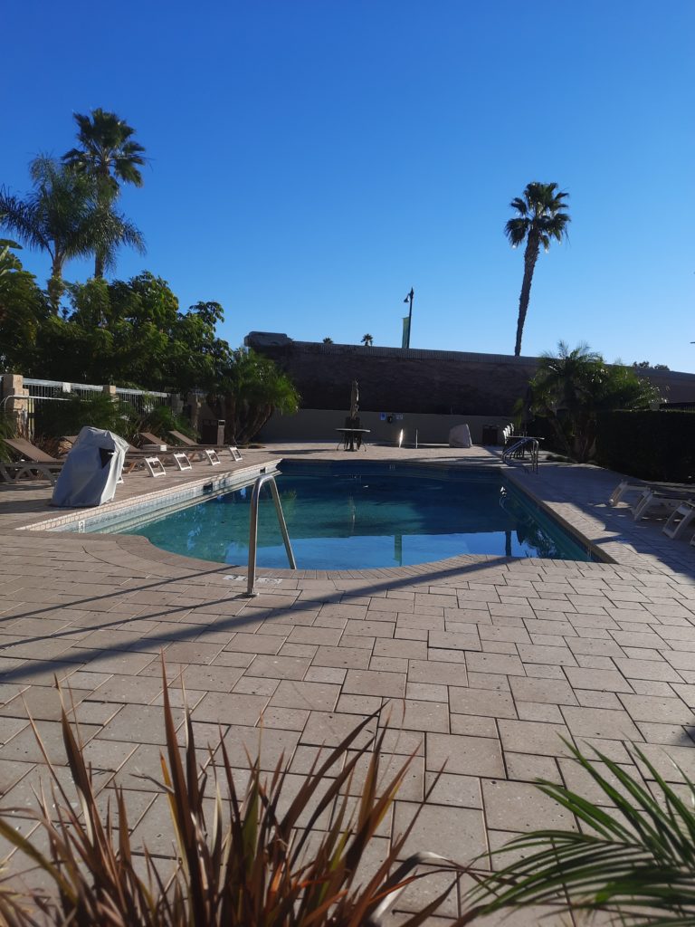 a pool with chairs and trees