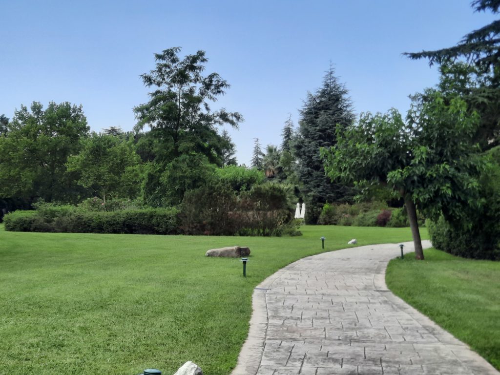 a stone path in a park