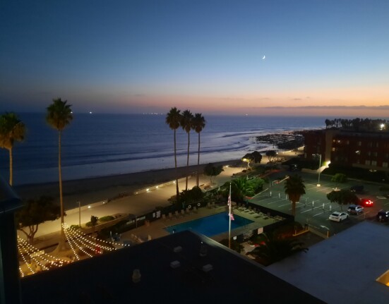 a beach with palm trees and buildings at night