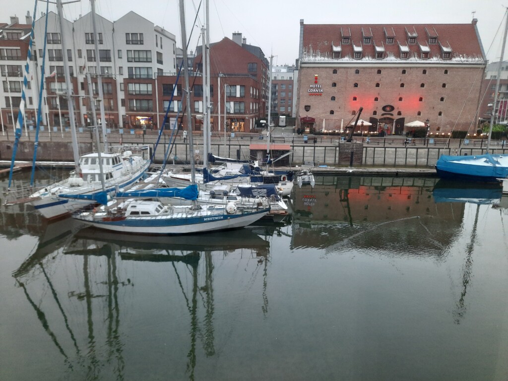 boats in a harbor with buildings and boats