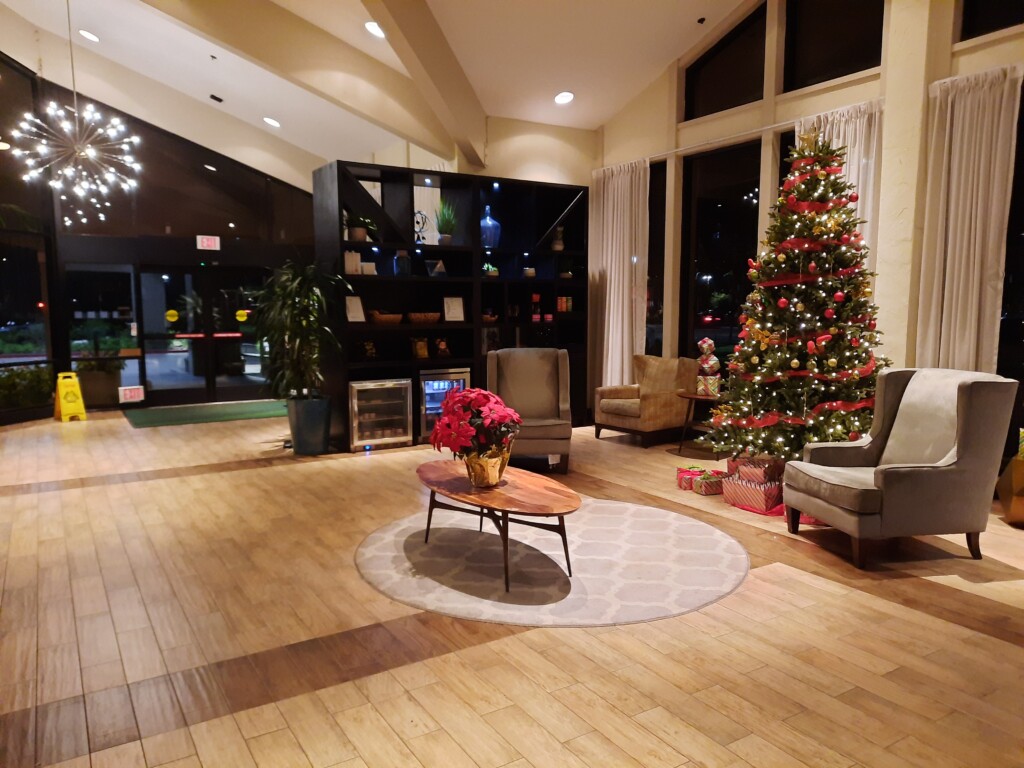 a room with a christmas tree and a decorated tree