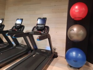 tread treadmills and exercise balls in a gym