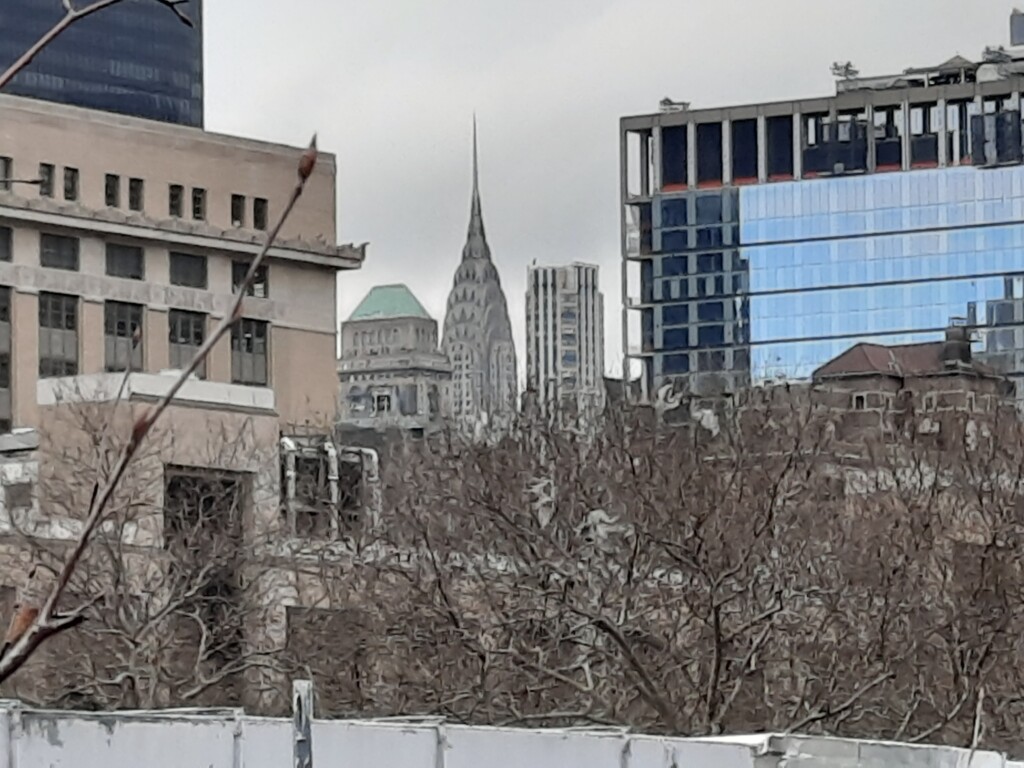 a city with trees and buildings